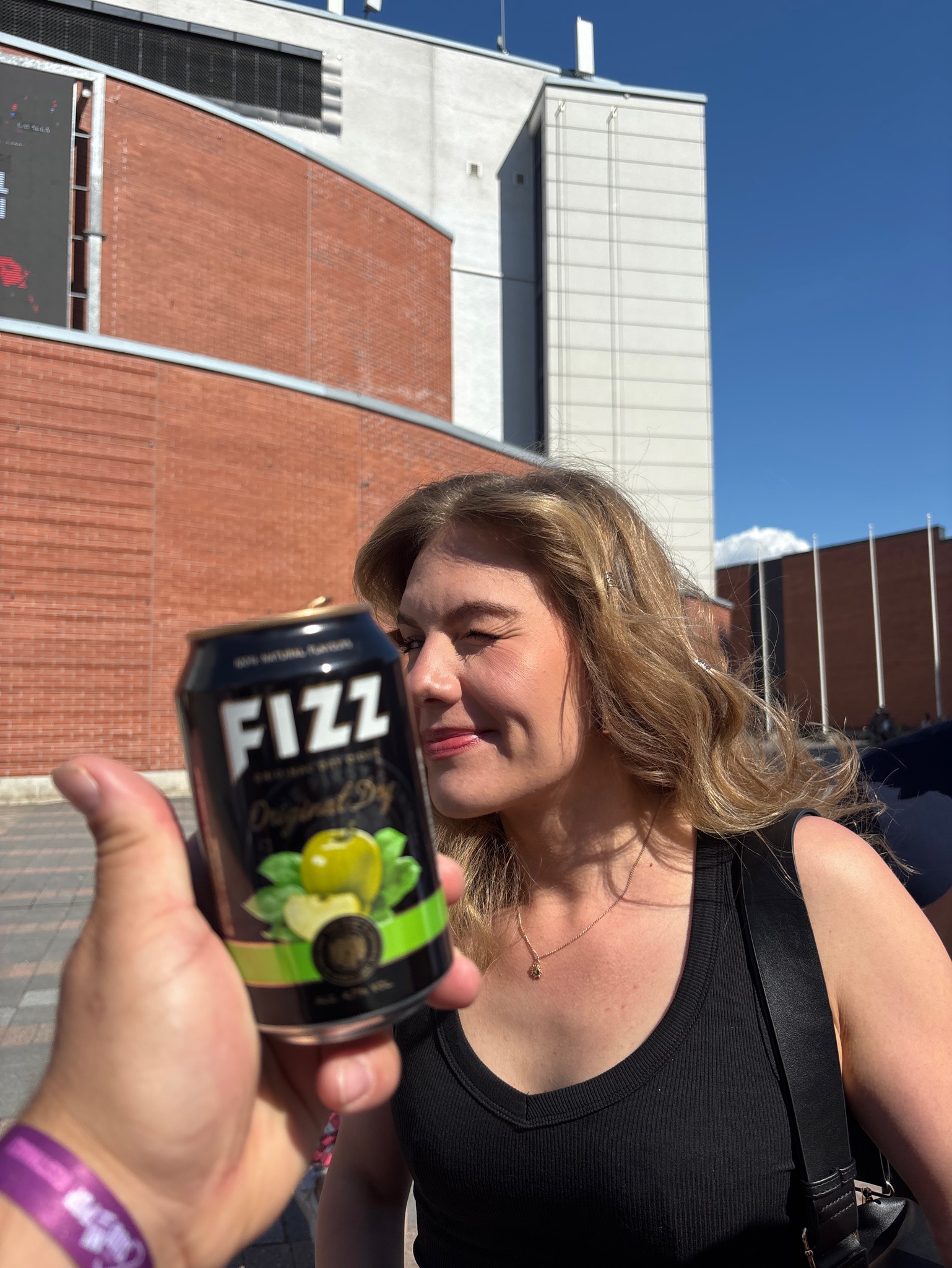 Fizz Original Dry, Finland