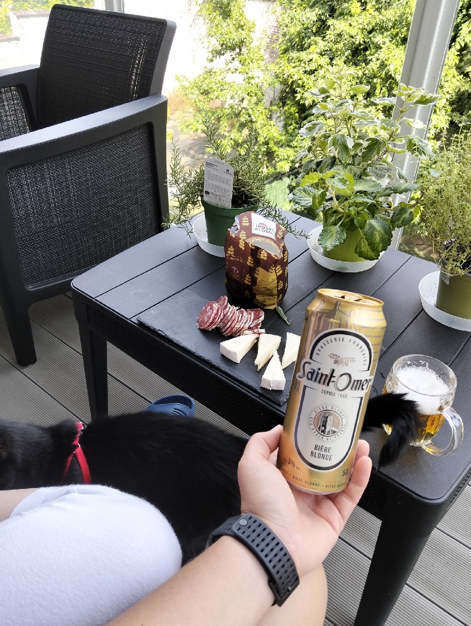 Saint-Omer Blonde De Luxe 5.0 %, France