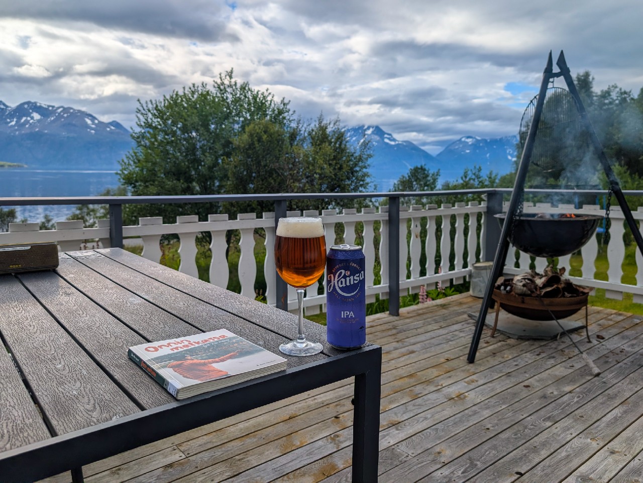 Hansa Spesial IPA, Hansa Borg Bryggerier (Royal Unibrew)