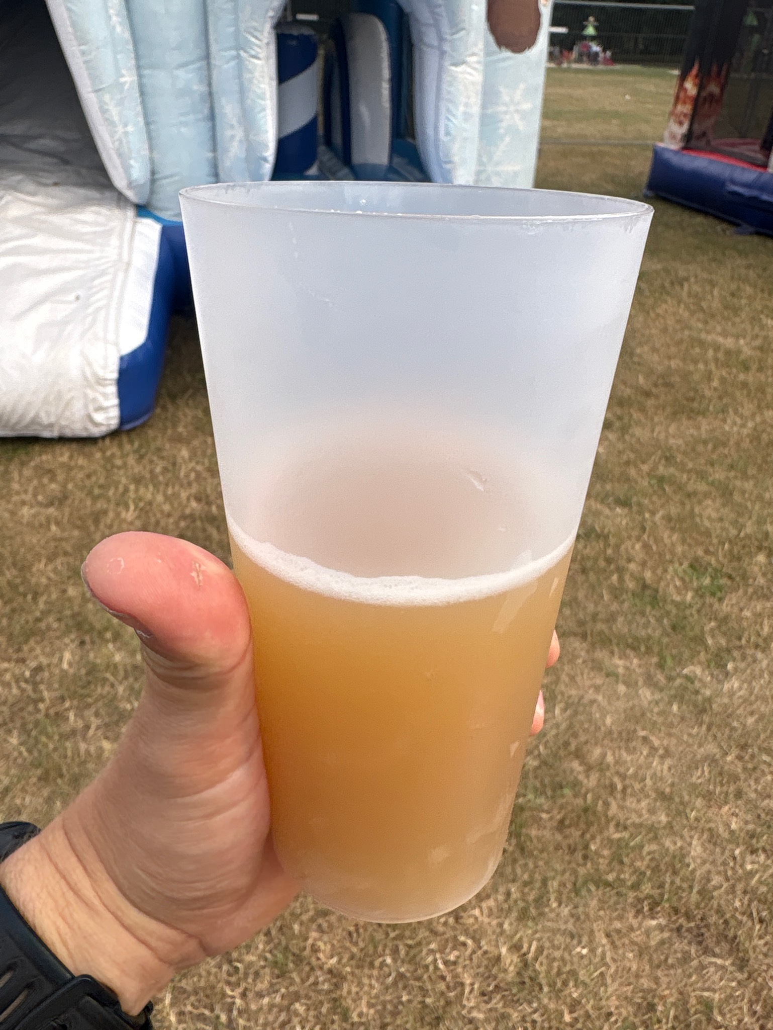 Blanche Mojito, Ice Breaker Brewing Co.