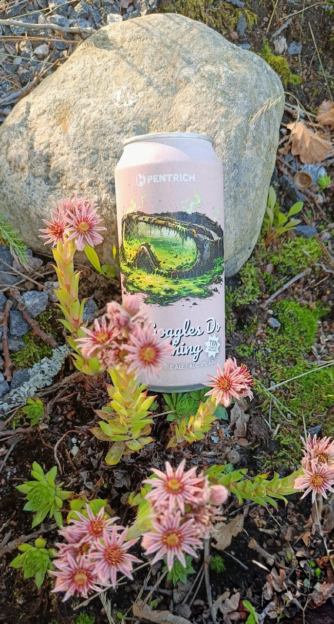 The Goggles Do Nothing, Pentrich Brewing