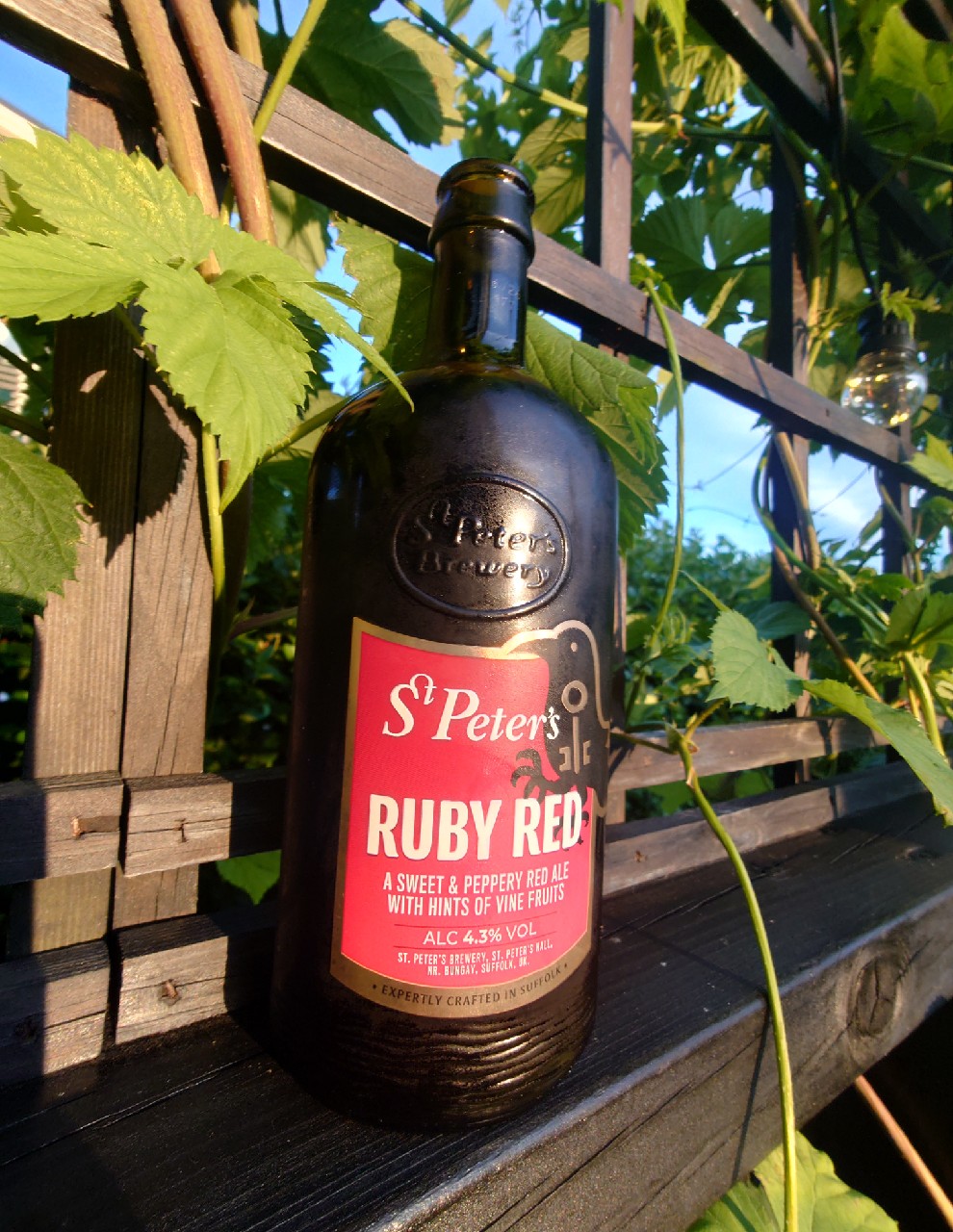 Ruby Red Ale, England