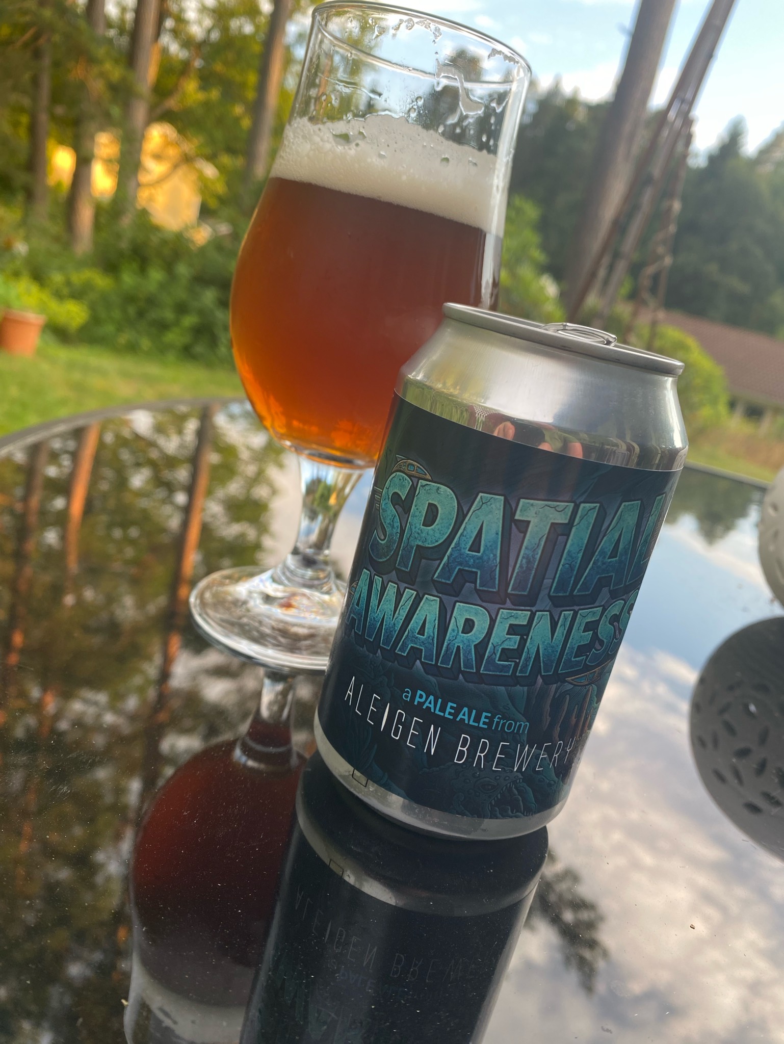 Spatial Awareness, En Aleigen Brewery