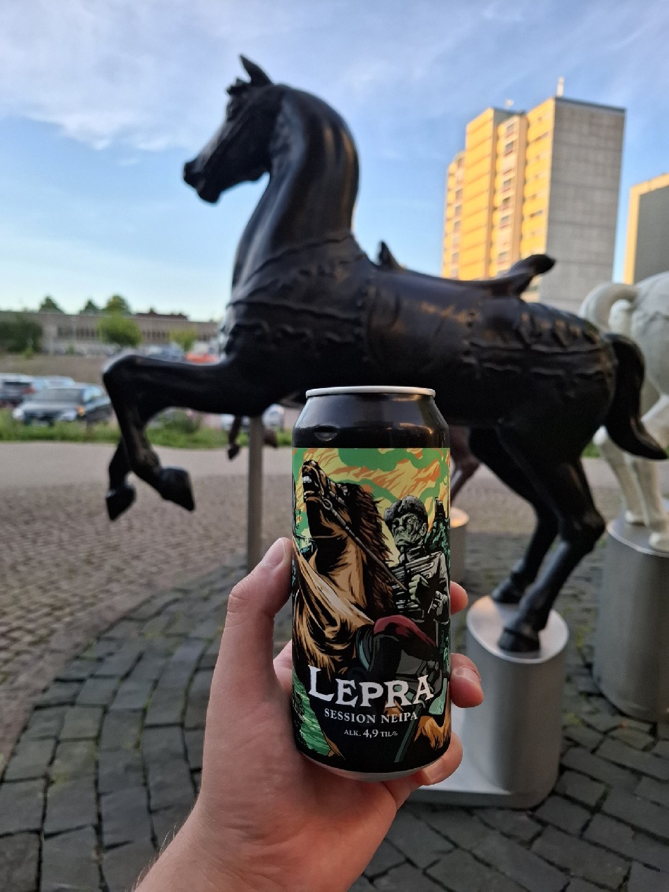 Lepra, Finland