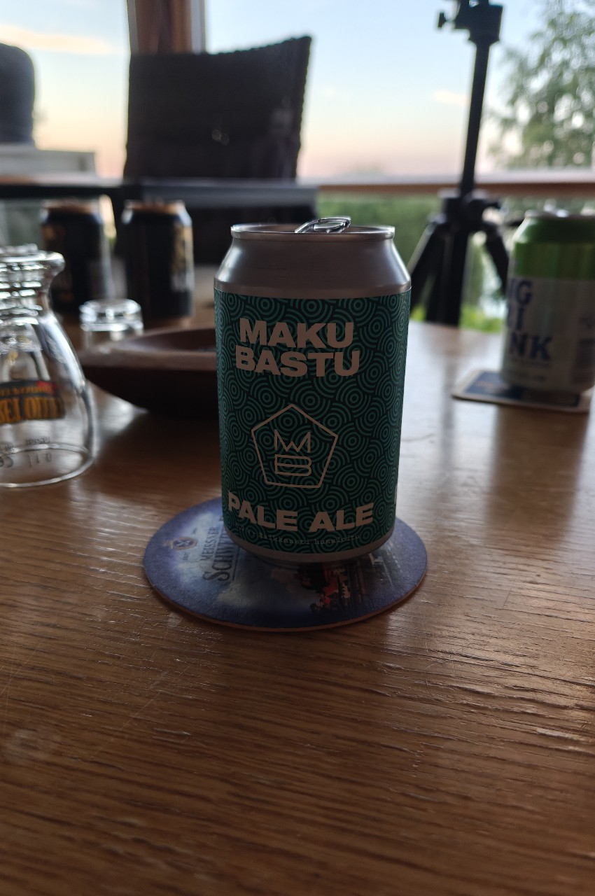 Bastu, Finland