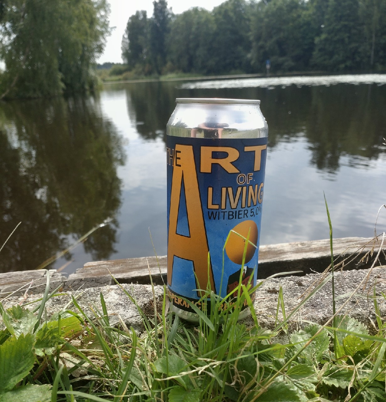 The Art of Living, Finland