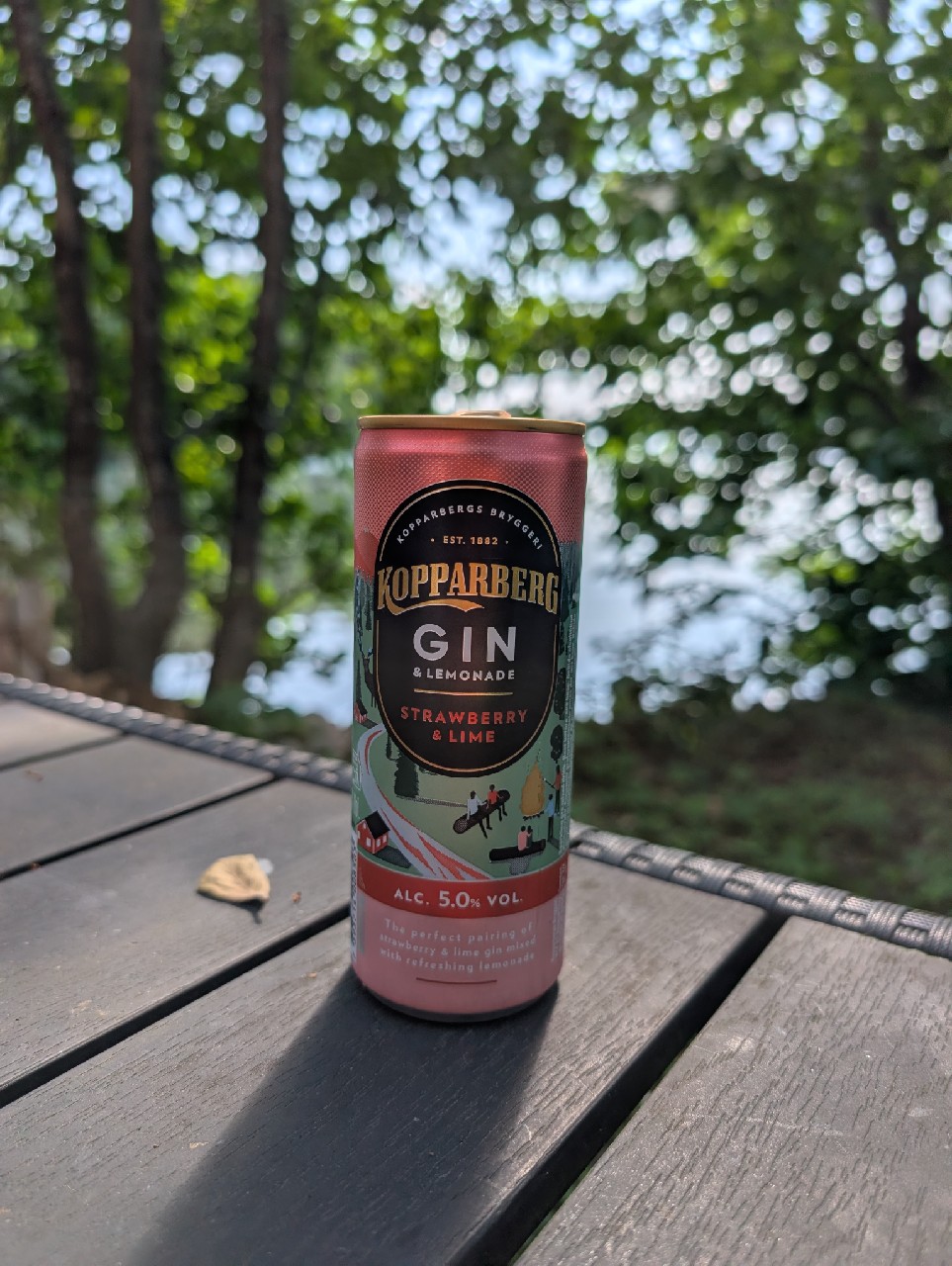 Kopparberg Gin & Lemonade - Strawberry & Lime, Sweden