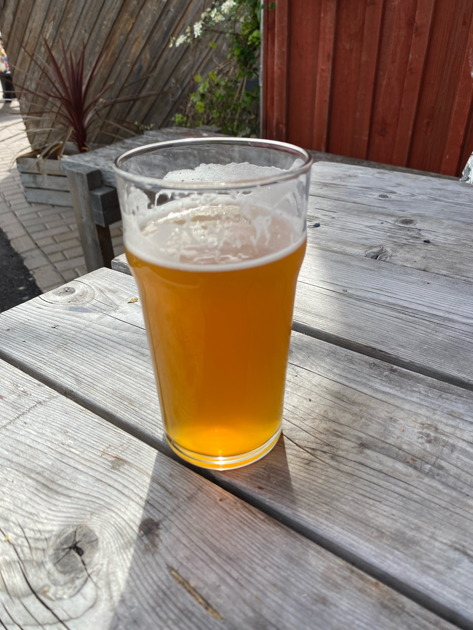 2X-Ipa, Finland