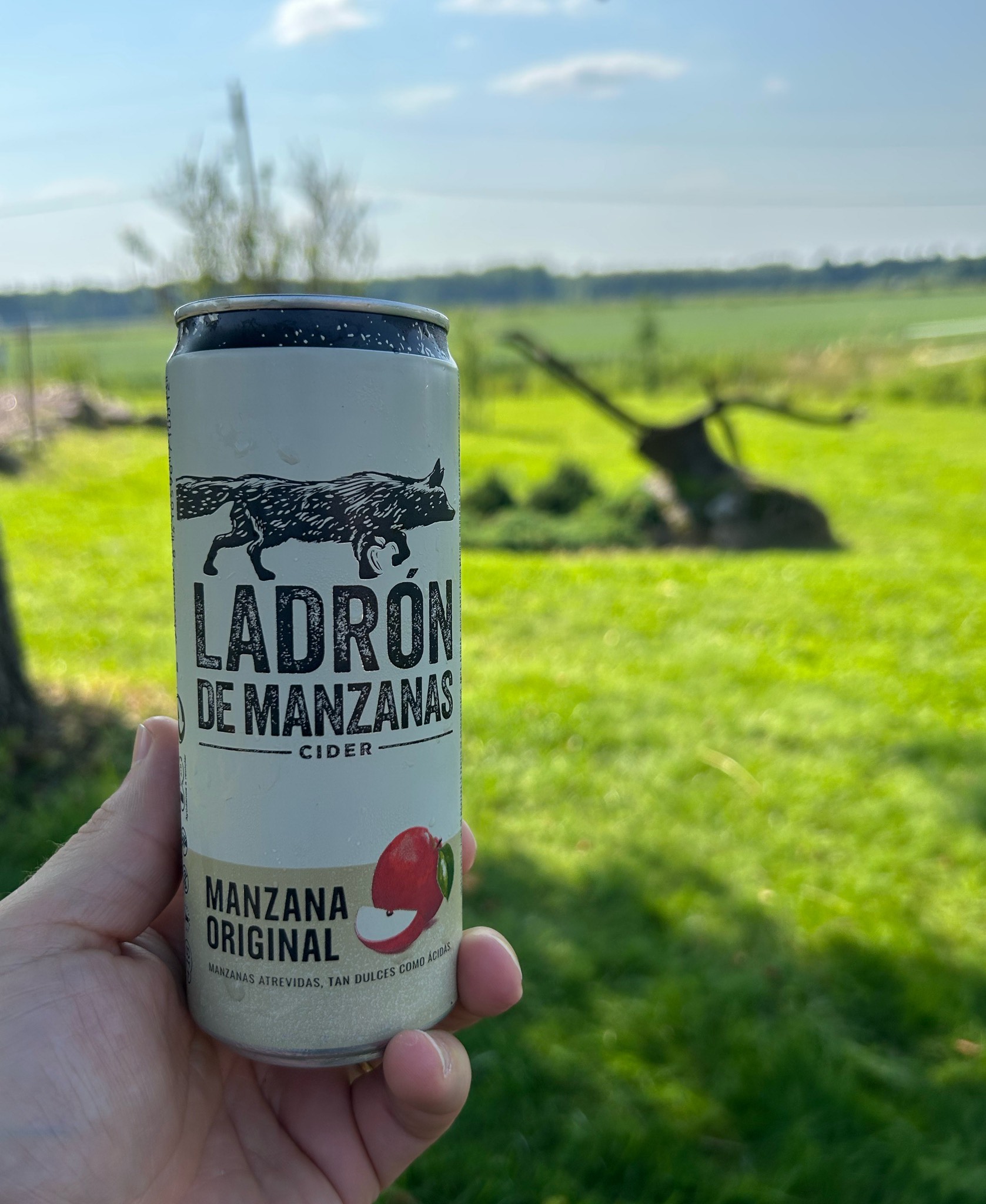 Ladrón De Manzanas, Cruzcampo (Heineken)
