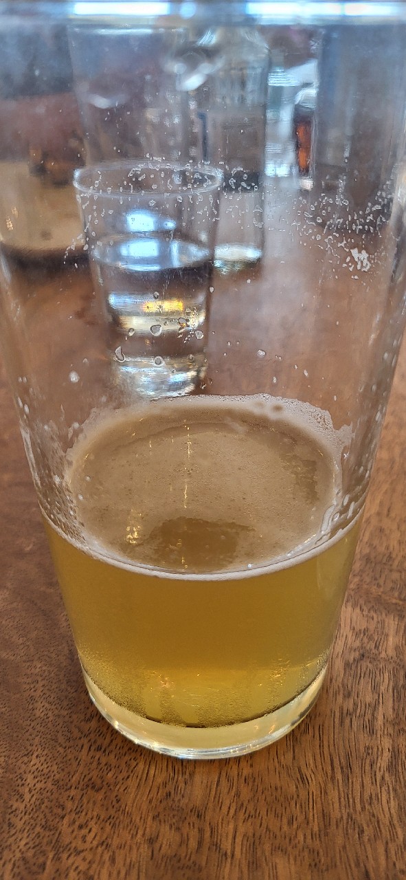 Vermont 4.7% XPA Topaz, Salt