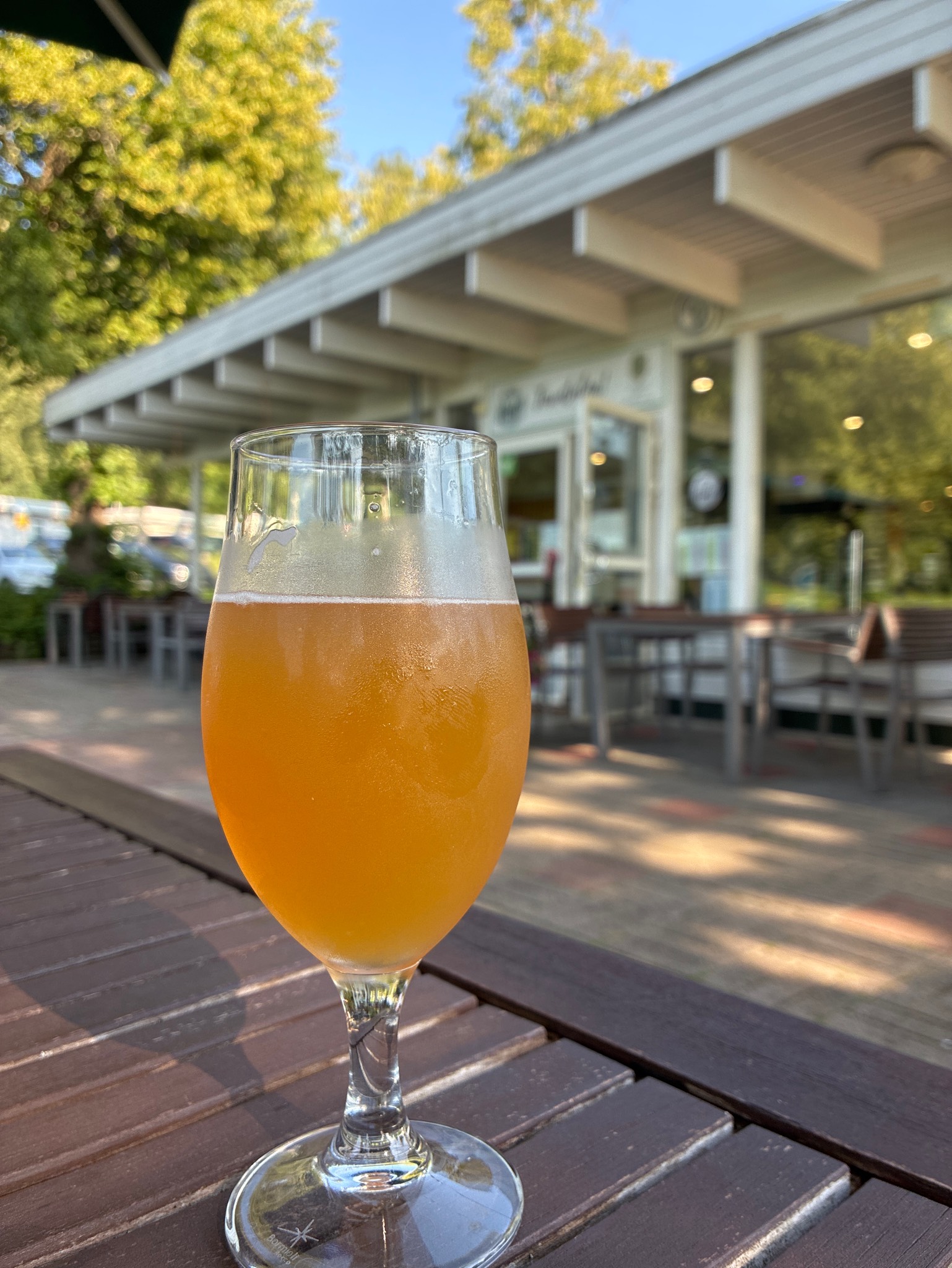 Mary D's Blue Moon, Carlsberg UK