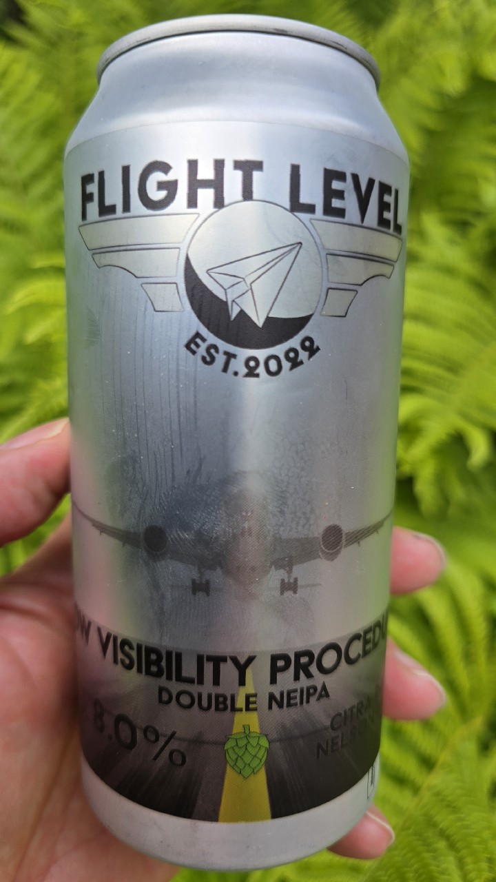 Low Visibility Procedures, Finland