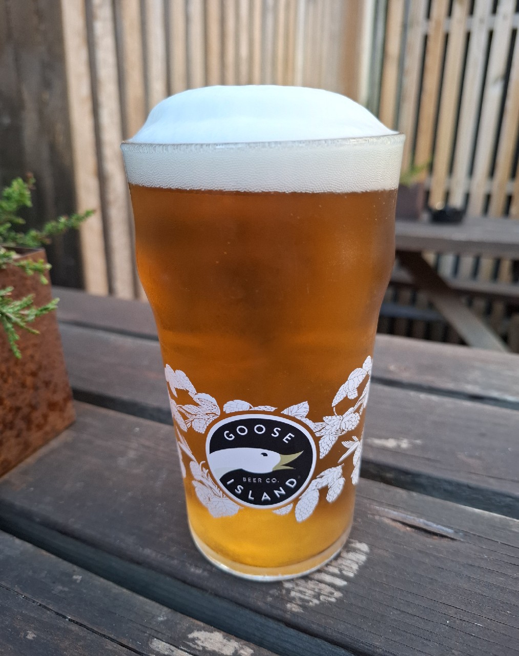Midway Session IPA, Goose Island Beer Company (AB-InBev)