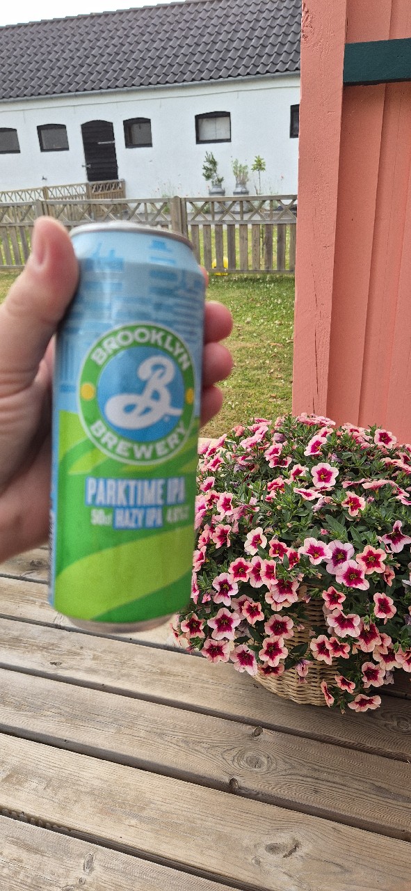 Parktime IPA, United States