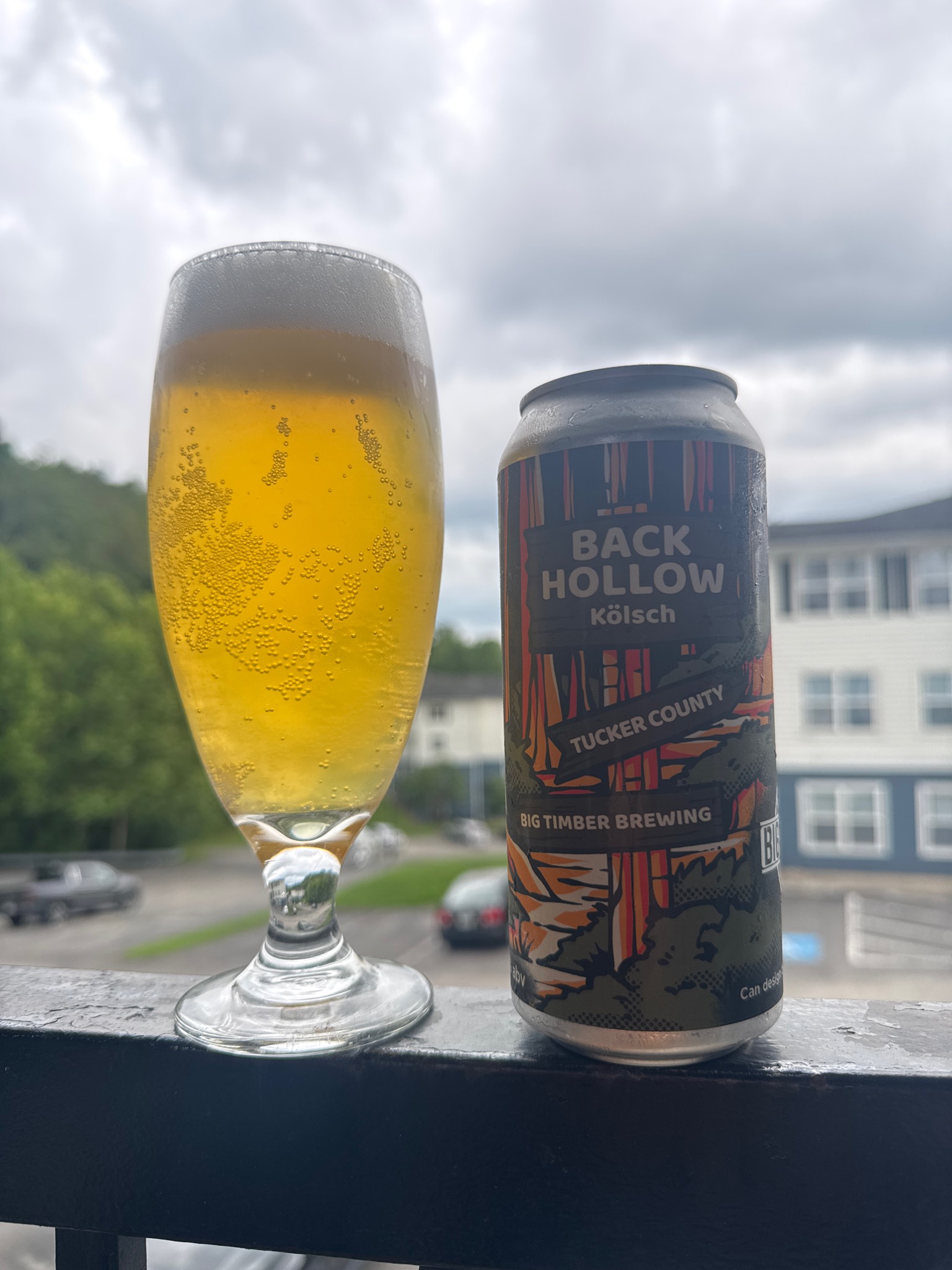 Back hollow, Big Timber