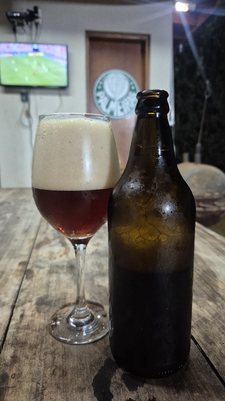 Trevisa Kölsch, Trevisa