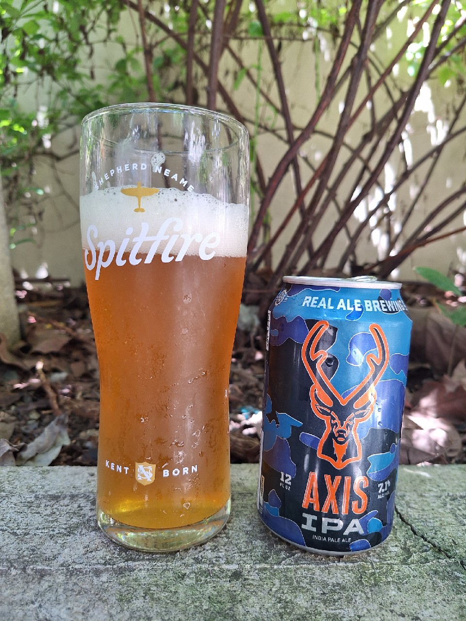 Axis IPA, Real Ale Brewing Company