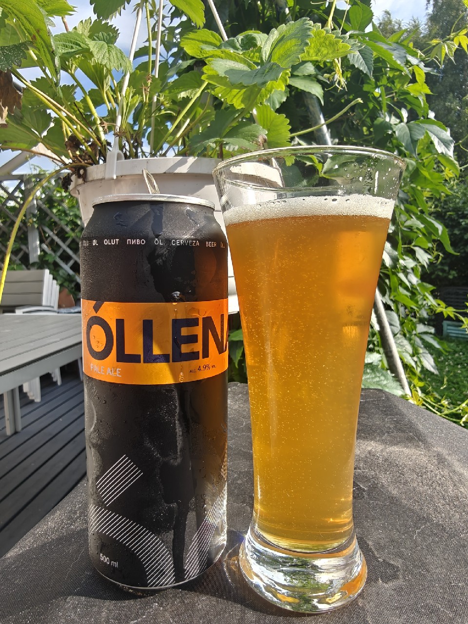 Óllenaut pale ALE, Estonia