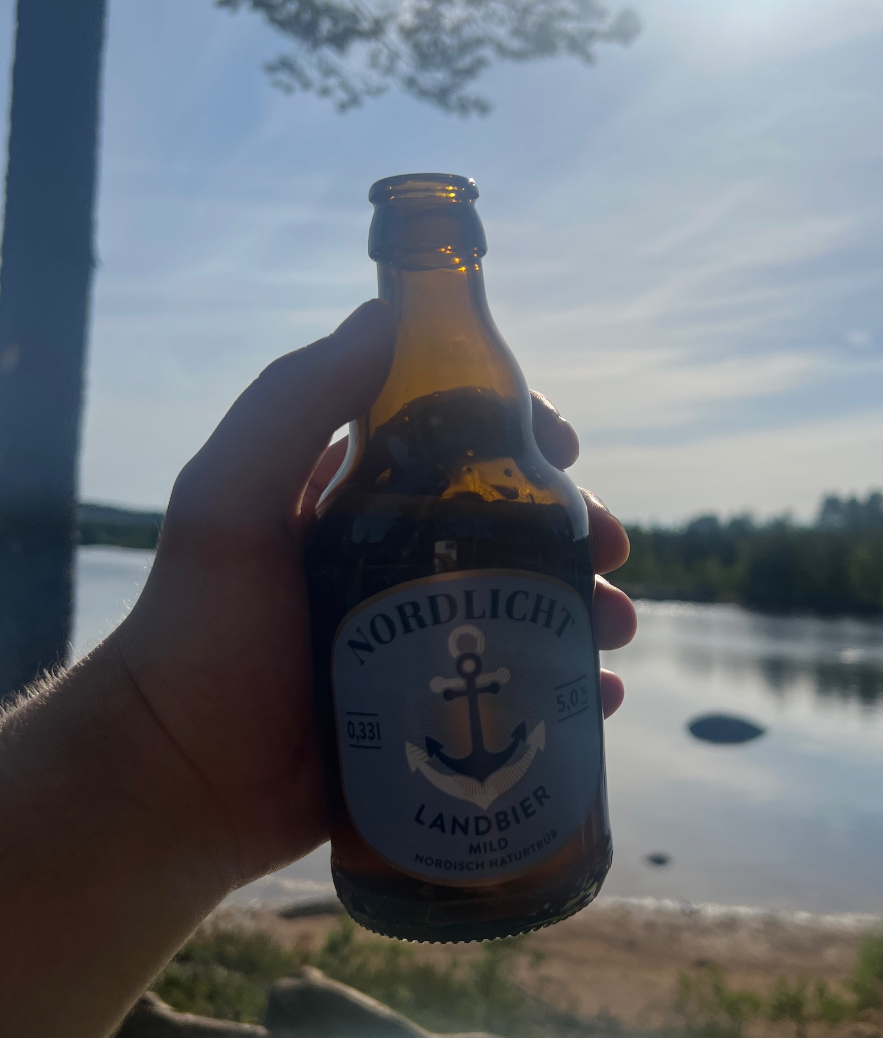 Nordlicht Landbier Mild, Rewe Nord