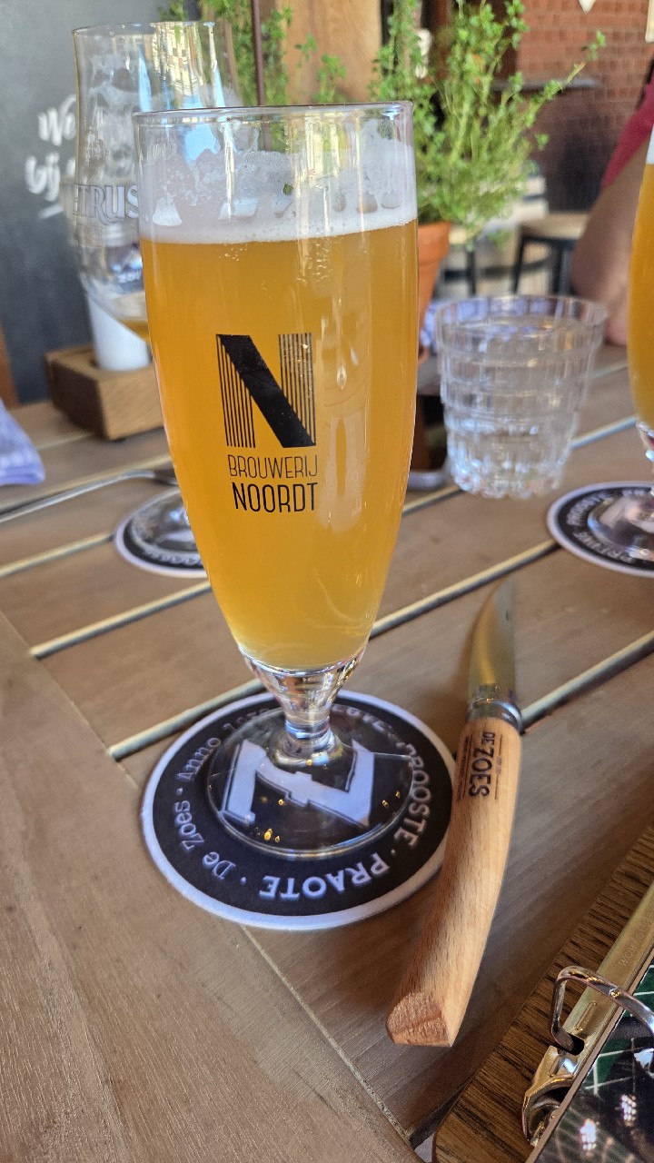 Hawaii NEIPA, Brouwerij Noordt