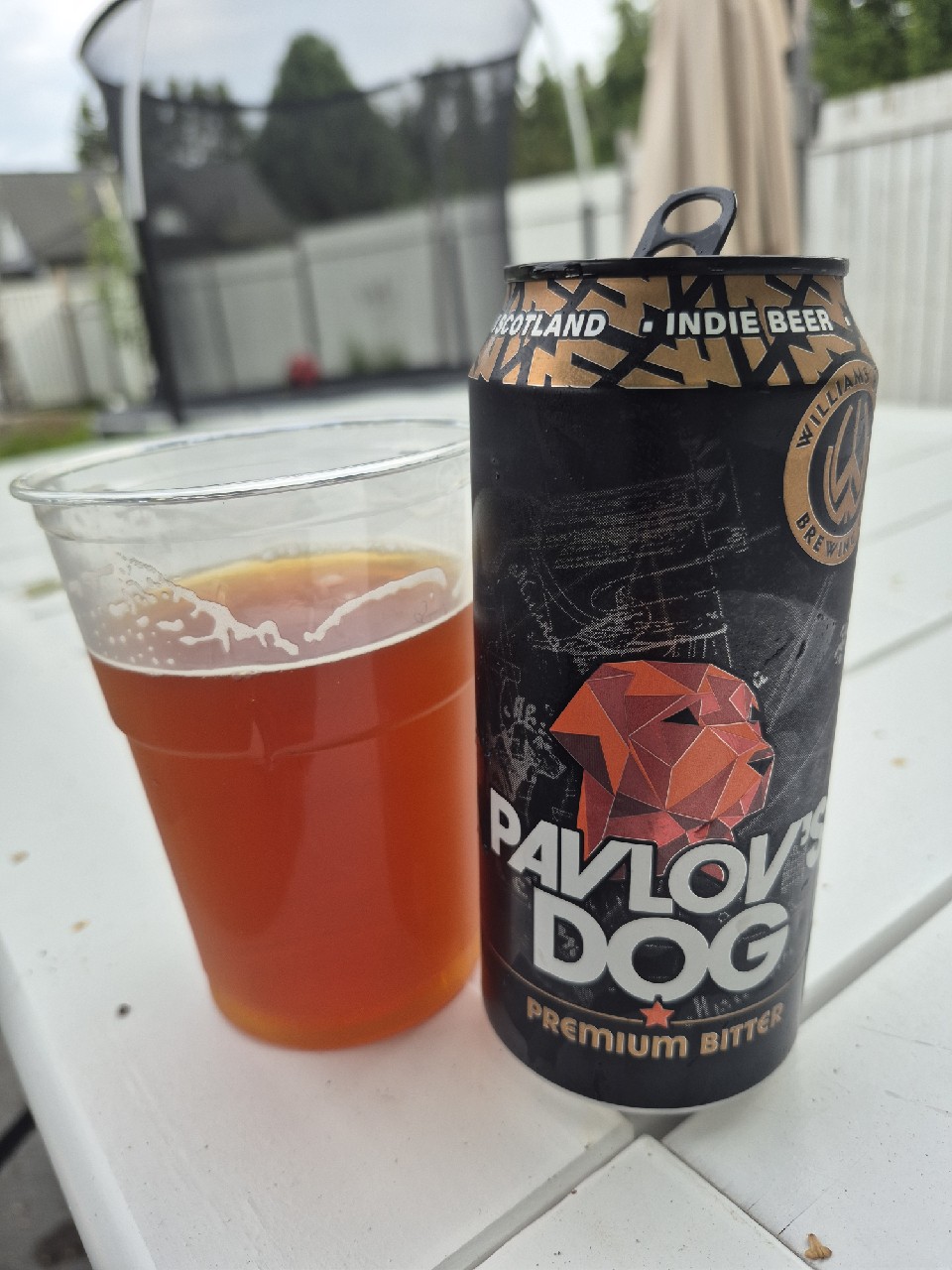 Pavlov's Dog, Scotland