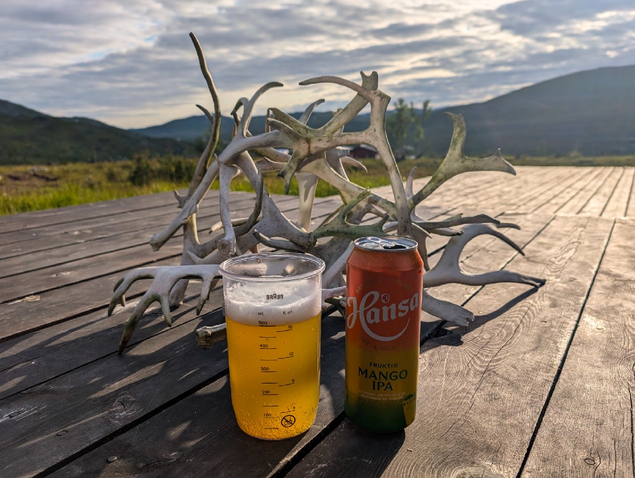 Hansa Mango IPA, Hansa Borg Bryggerier (Royal Unibrew)