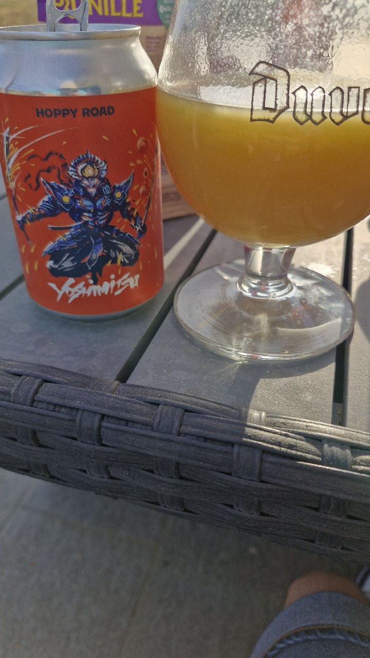 Yoshimitsu, France