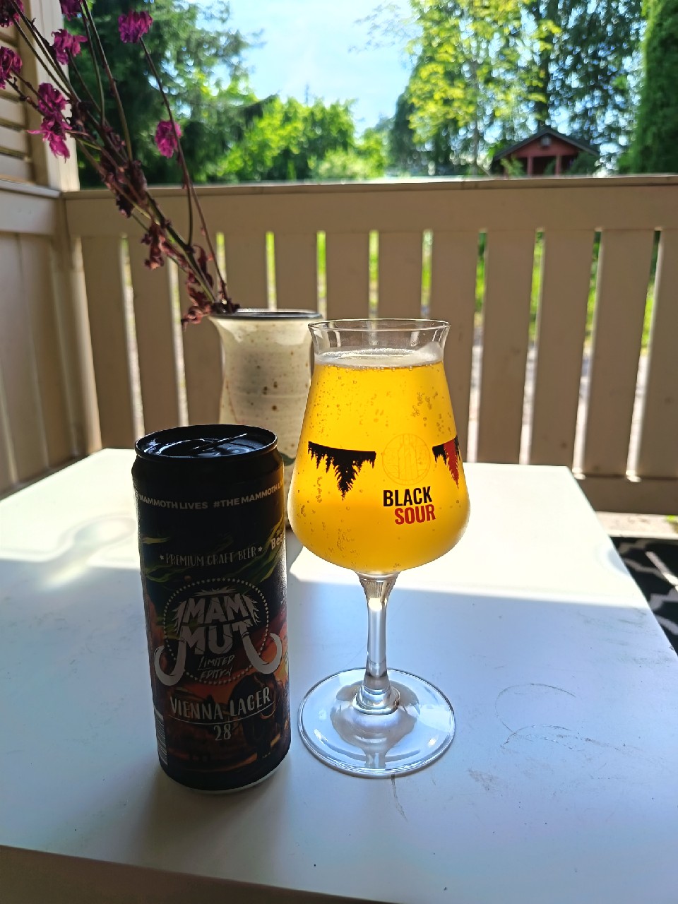 Mammut Vienna Lager 28, Mammut