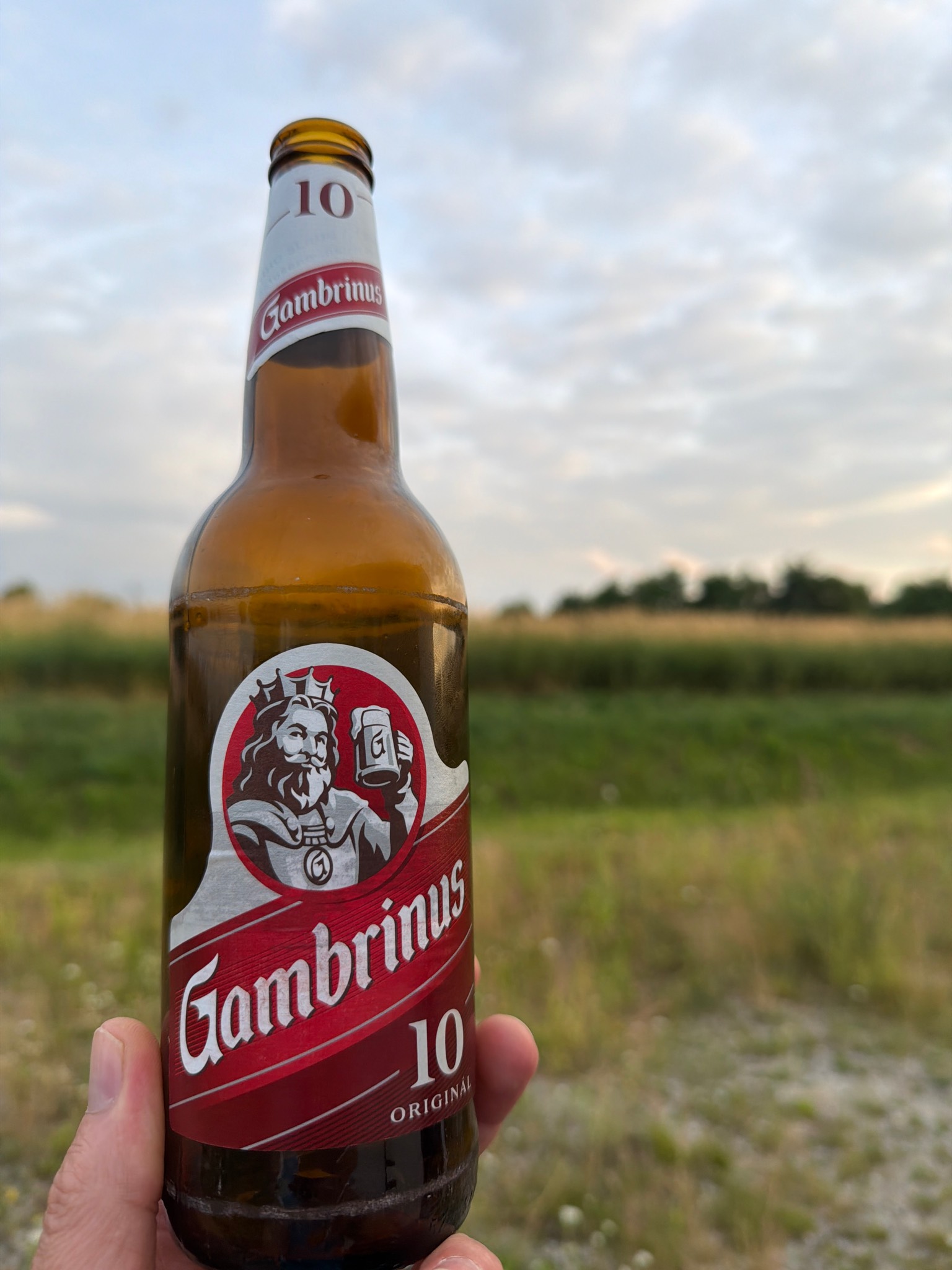 Gambrinus Originál 10, Czech Republic