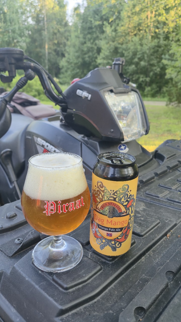 Dag Mango, Ægir Bryggeri