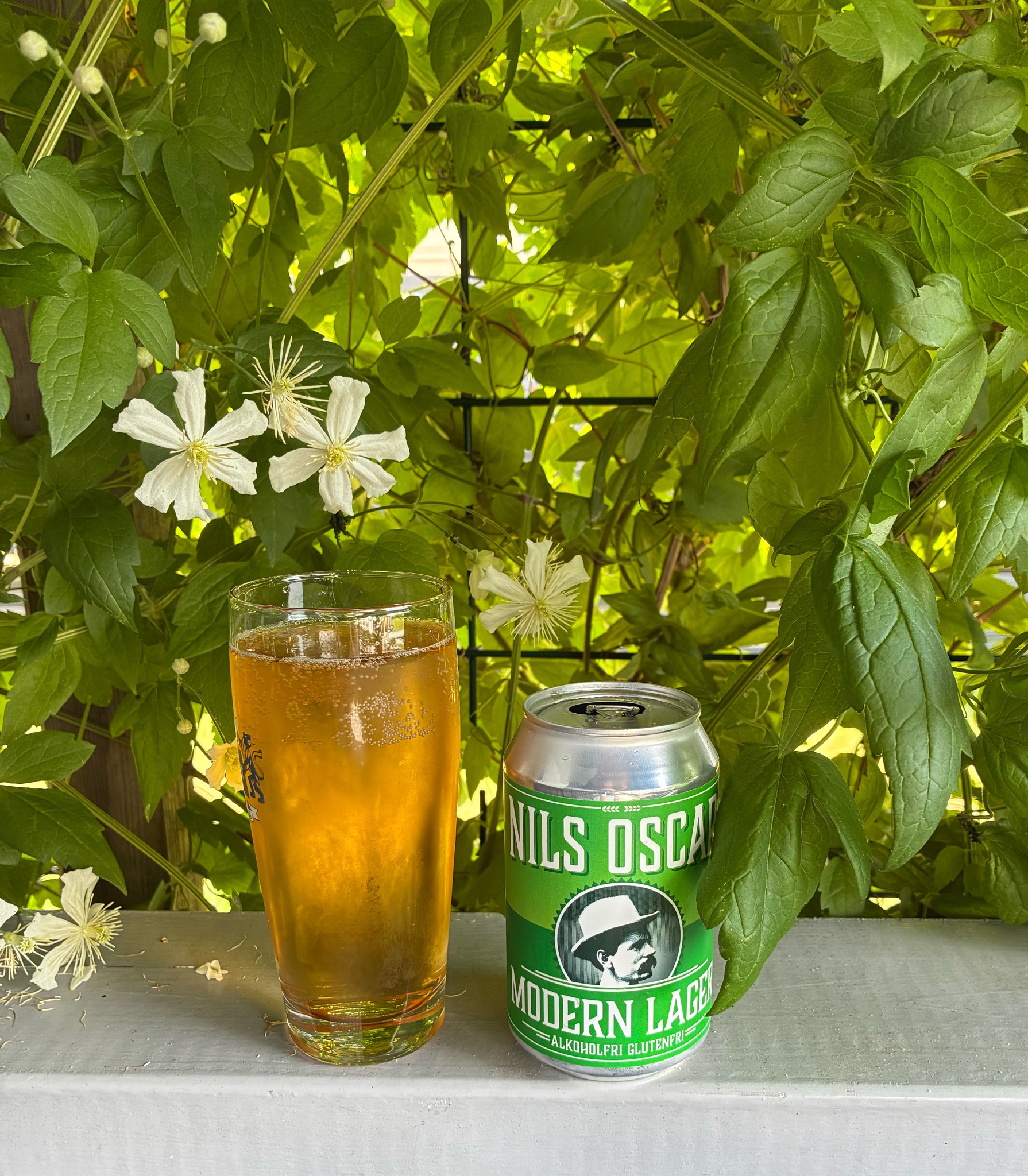 Nils Oscar modern lager, Sweden