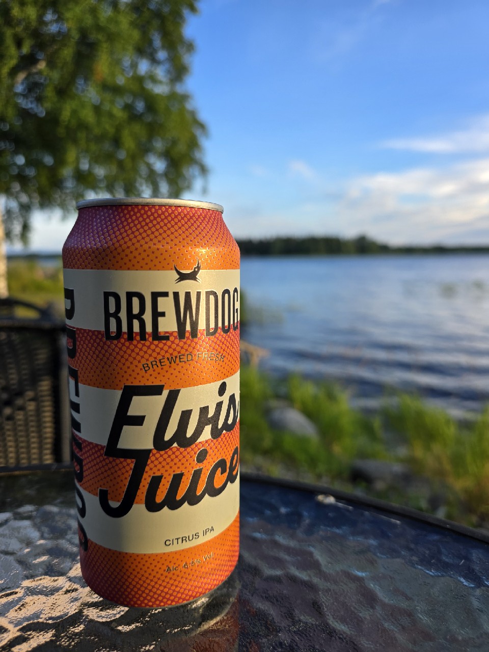 Elvis Juice, Scotland