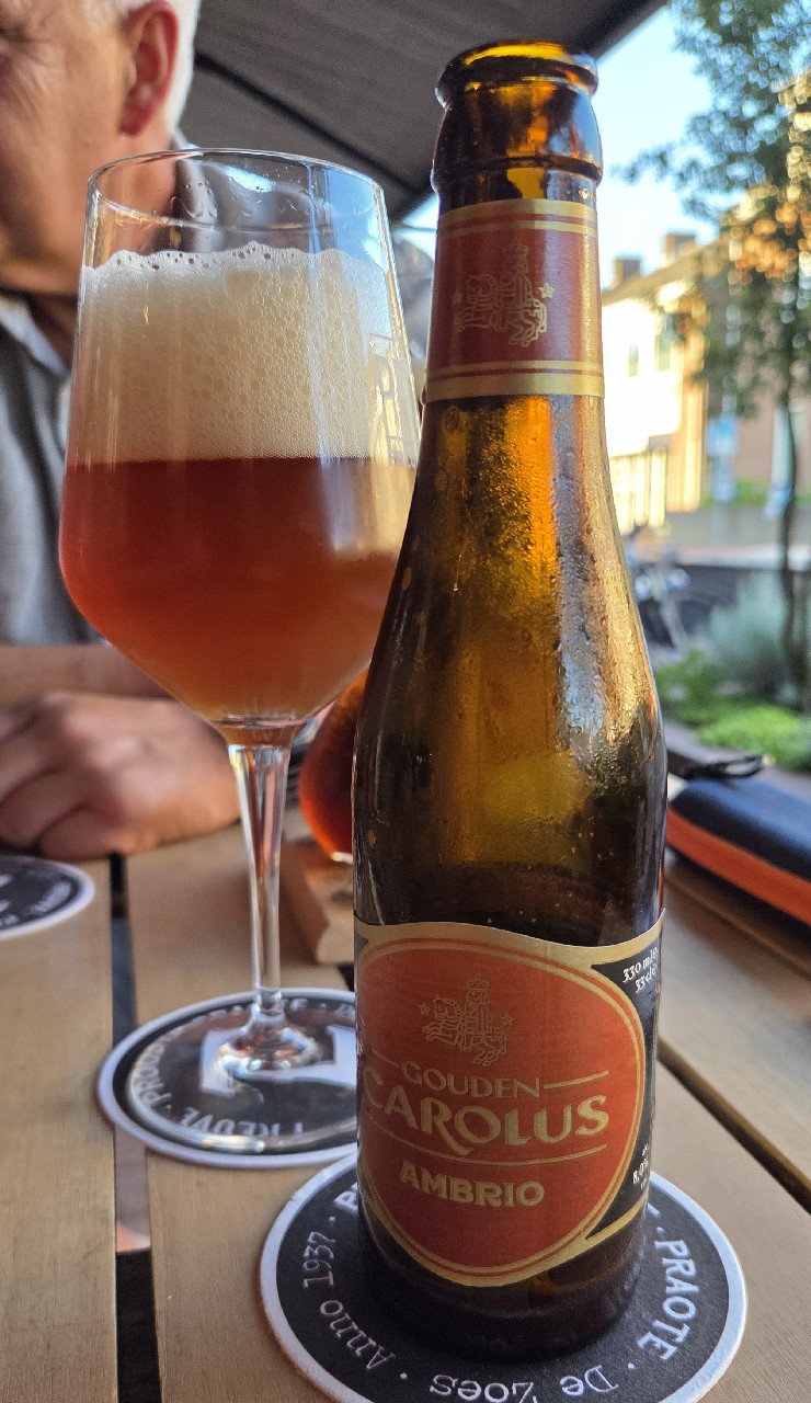 Gouden Carolus Ambrio, Belgium