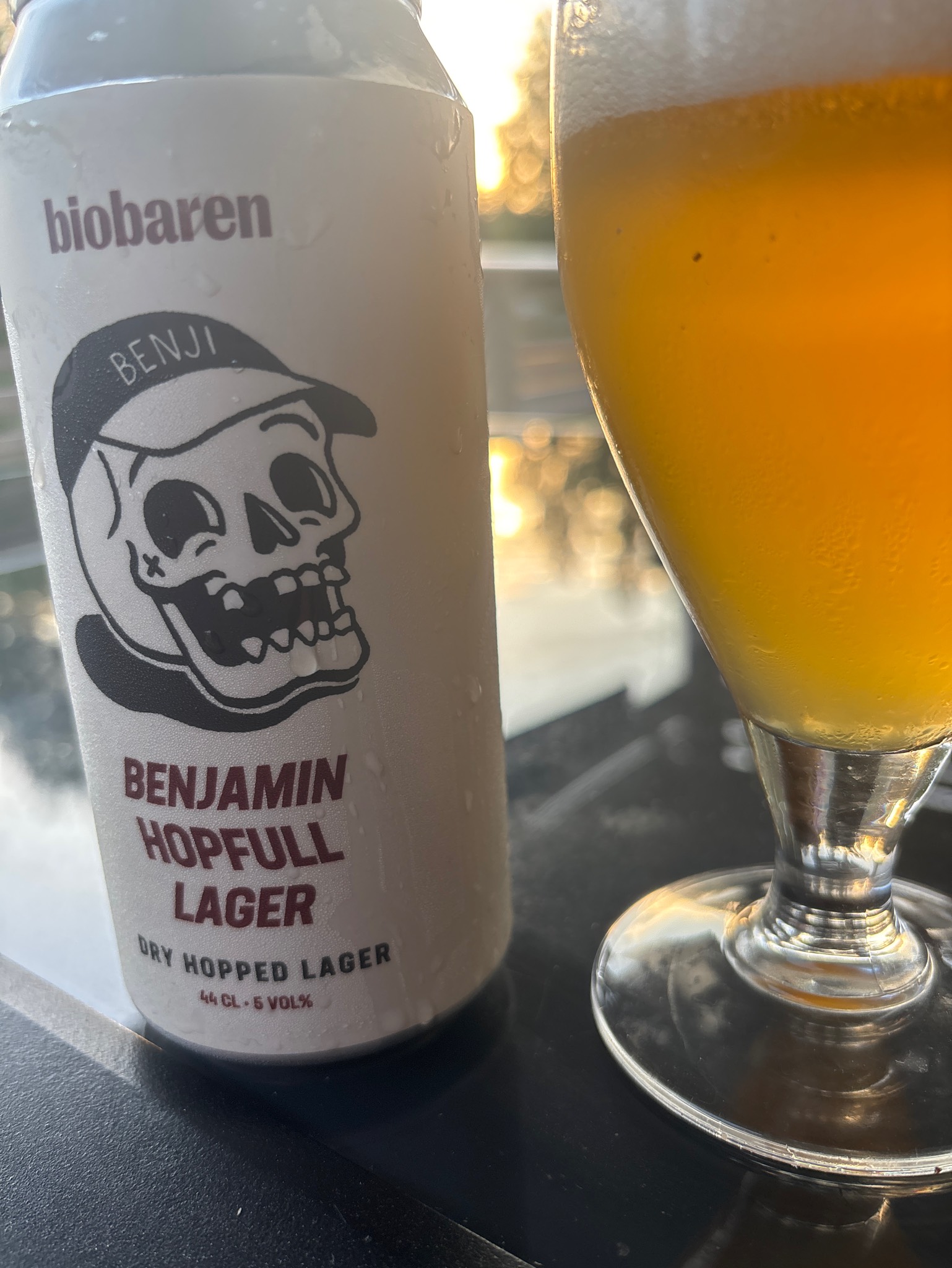 Benjamin Hopfull Lager, Ängöl