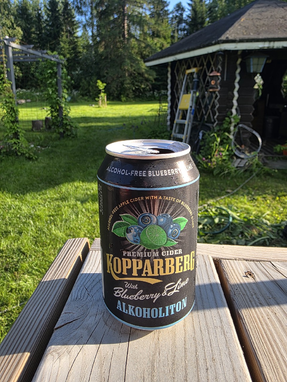 Kopparberg with Blueberry & Lime Alcohol Free, Sweden