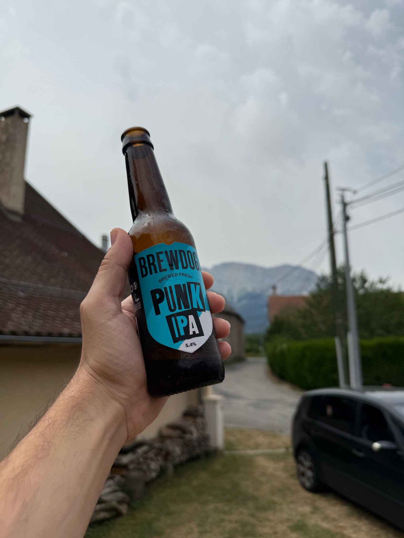 Giesinger Punk IPA, Germany
