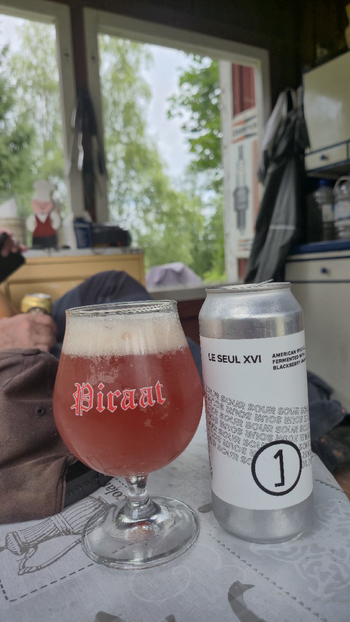 Le Seul XVI (Blackberry & Lemon), Une Année | Hubbard's Cave Brewery