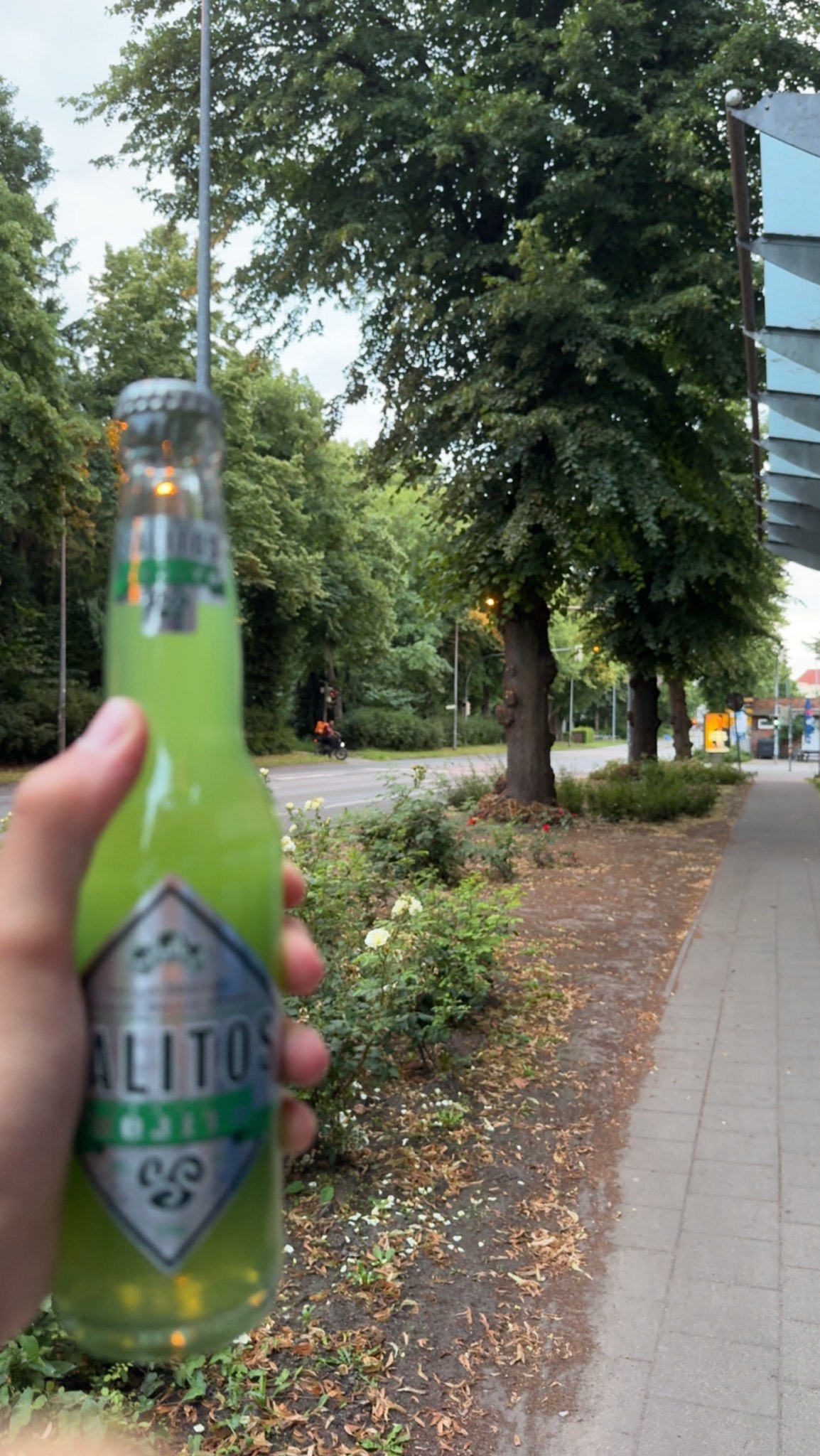 Salitos Mojito, MBG International Premium Brands GmbH