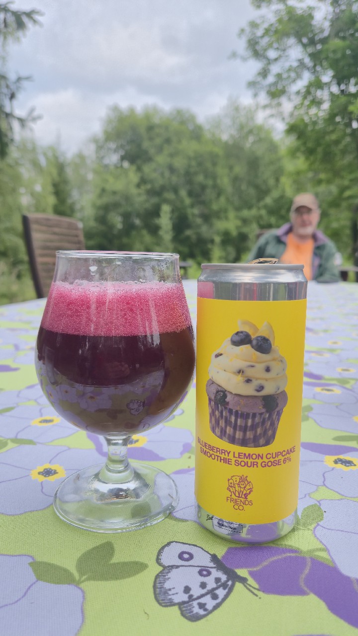 Blueberry Lemon Cupcake Smoothie Sour Gose, Friends Company