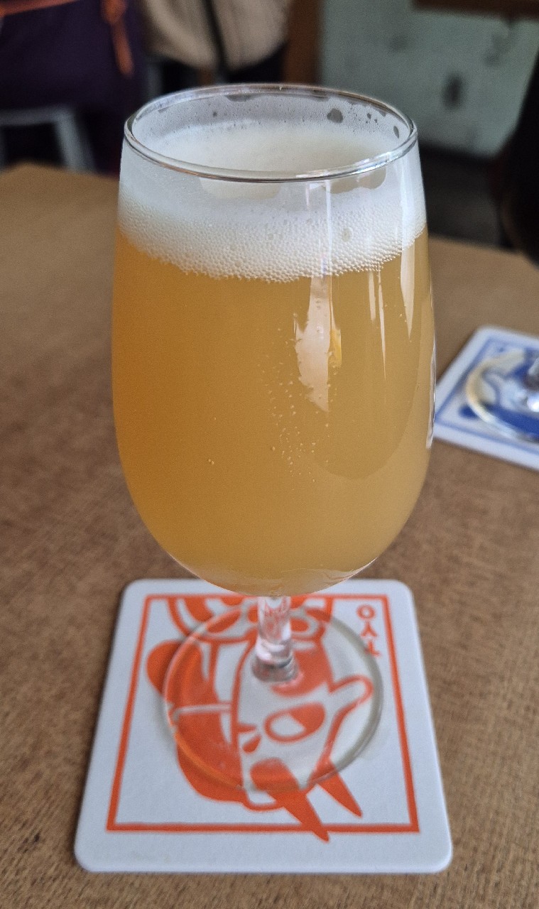 Total Internal Reflection, Hudson Valley Brewing Co.
