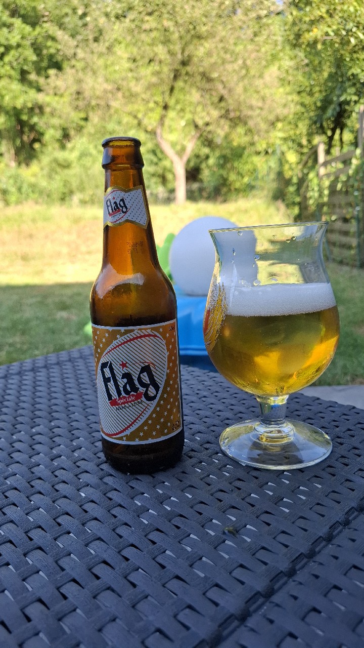Flag, Senegal