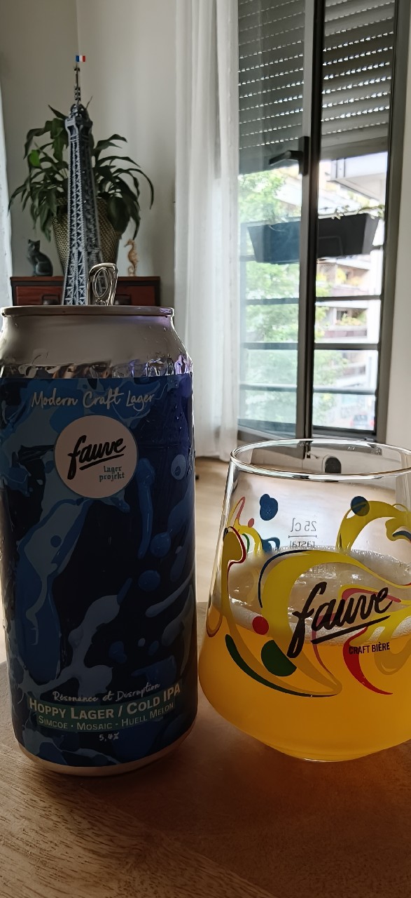Résonnance Et Disruption, France