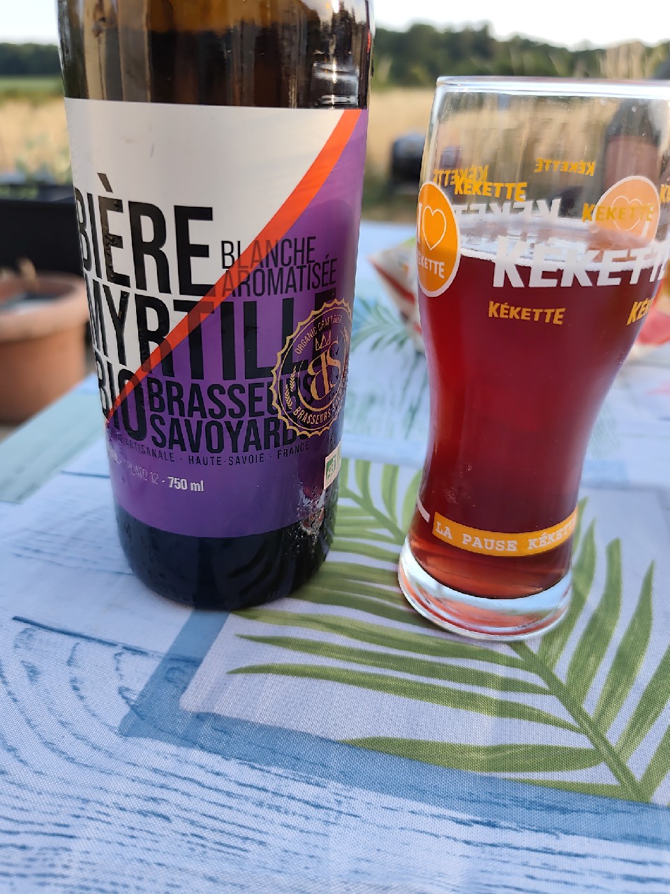 BS myrtille, France