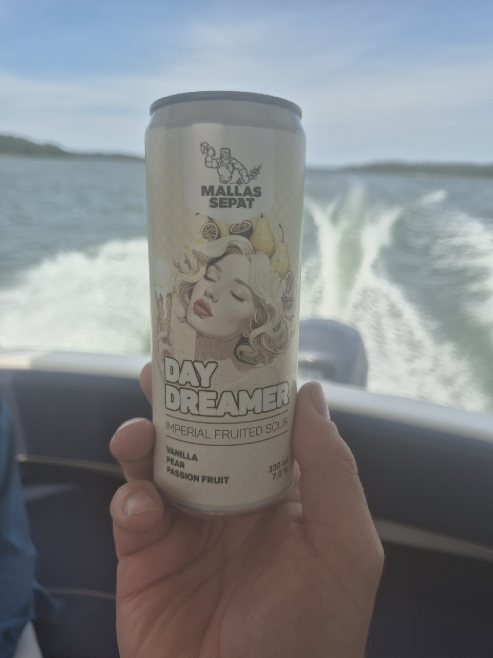 Daydreamer, Finland