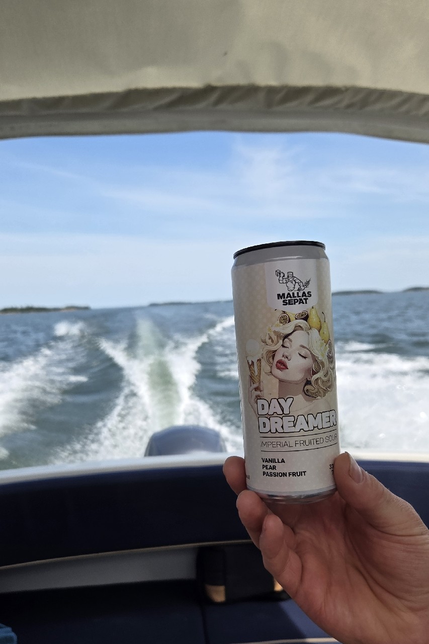 Daydreamer, Finland