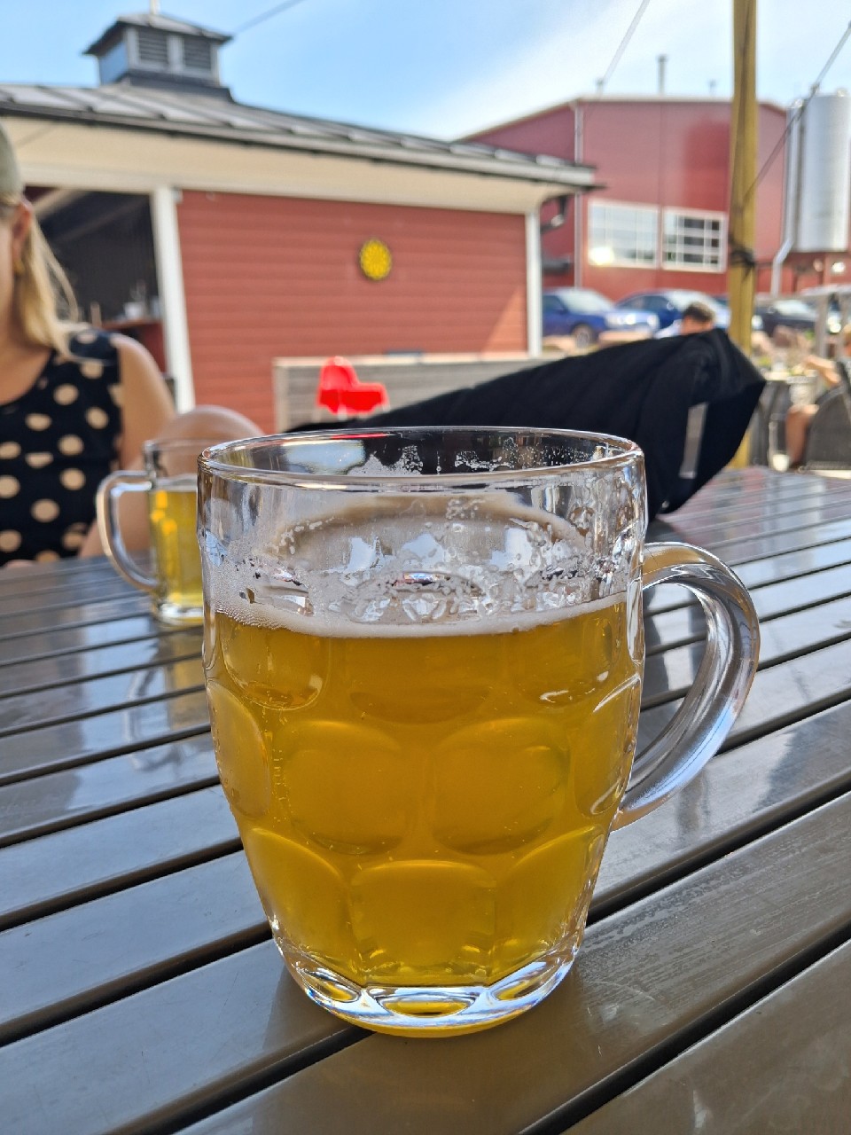 Hoppy Lager / Hoppy Dry Hopped Lager, Finland