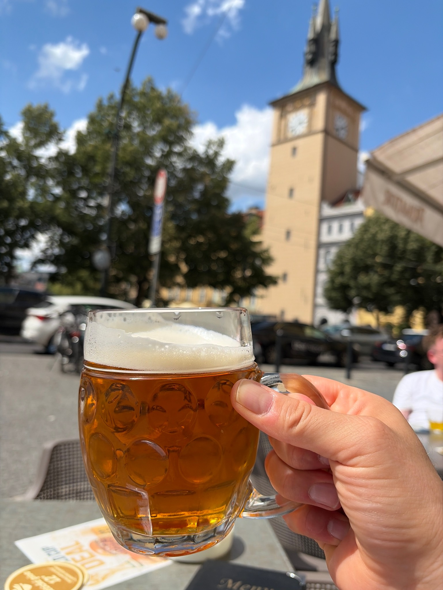 Bernard Bohemian Lager / Světlý Ležák 12°, Czech Republic