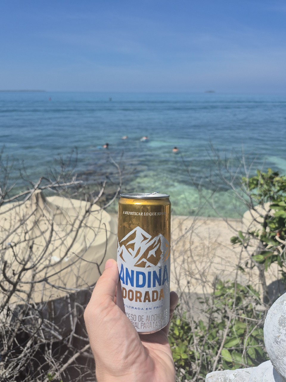 Andina, Central Cervecera De Colombia