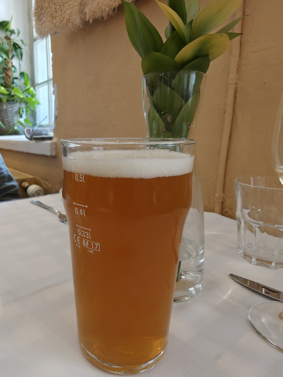 Gyllenborg, Finland