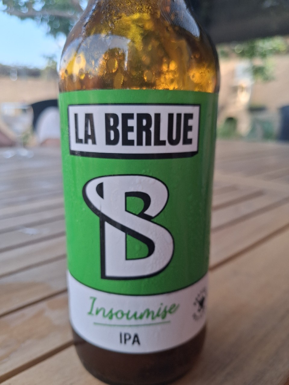 Insoumise, France